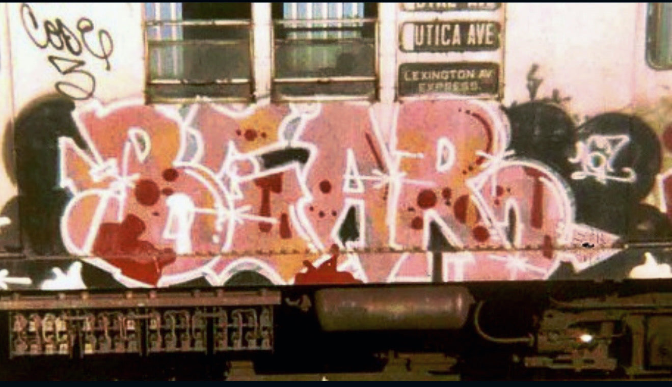 SUNNY ARCHIVE
