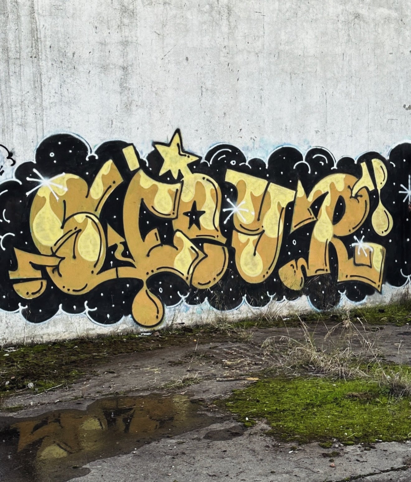 SUNNY ARCHIVE
